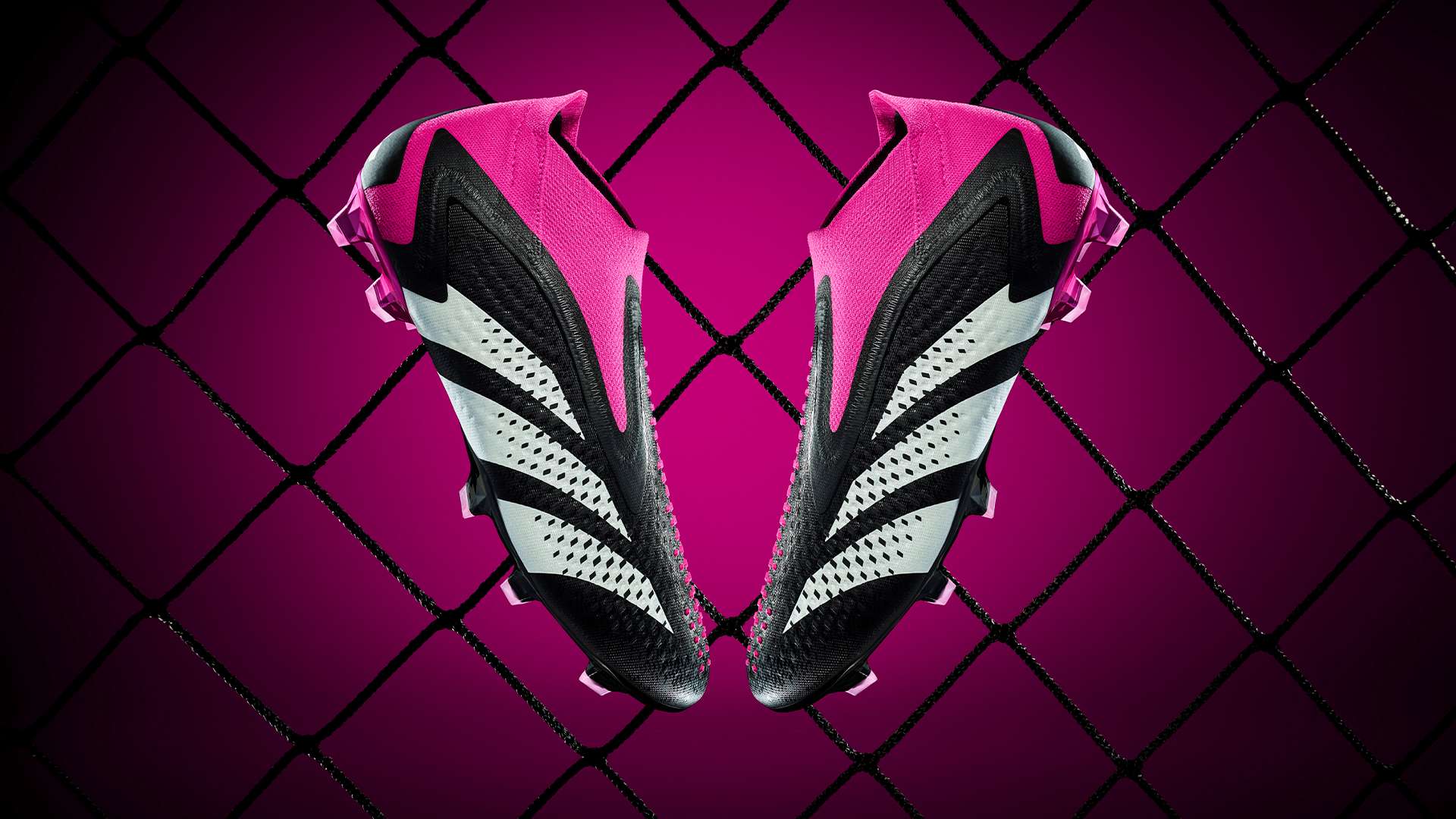 看到更多精 看到更多精