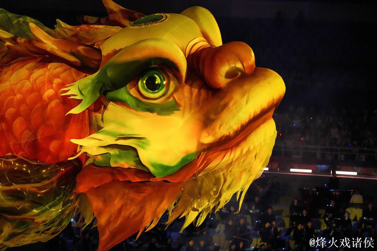 全运会走红的鳌鱼,竟与这里息息相关! 全运会走红的鳌鱼,竟与这里息息相关!