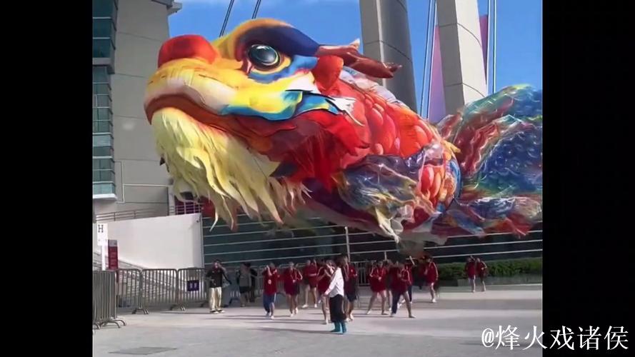 全运会走红的鳌鱼,竟与这里息息相关! 全运会走红的鳌鱼,竟与这里息息相关!